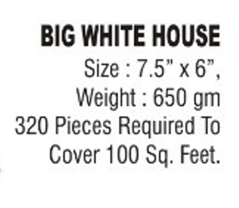 Big White House