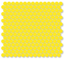 Canary Circle Harmony