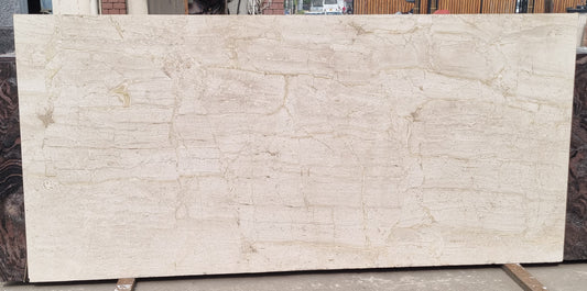 Dyna Classico (Lot no- 329)