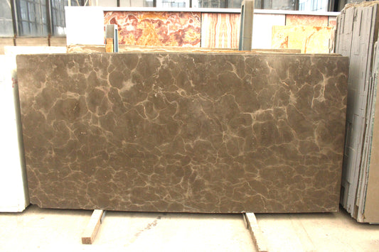 Armani Brown(Lot No-289)