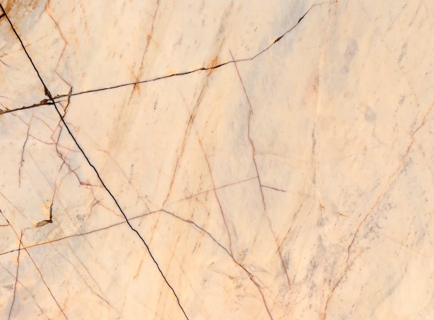 Exotic Giallo Siena(MSB-C1)(Lot no. 363)