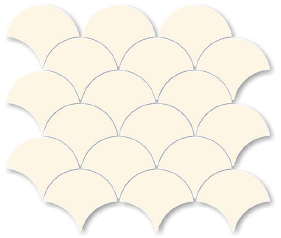 Ivory Arcs