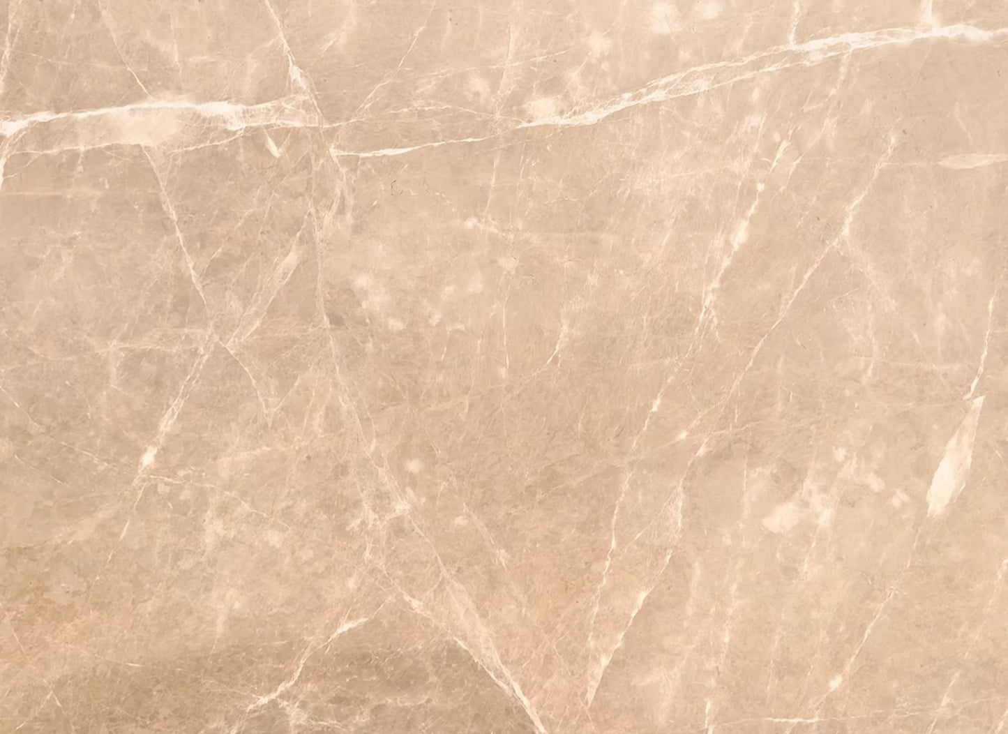 Lady Grey (Lot No. 352)