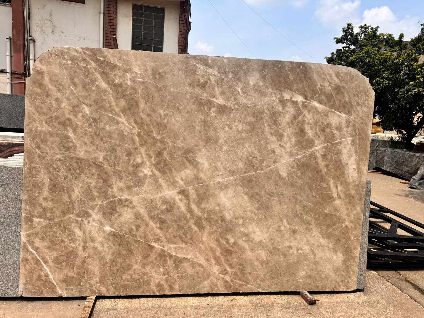 Lady Grey (Lot No. 350)