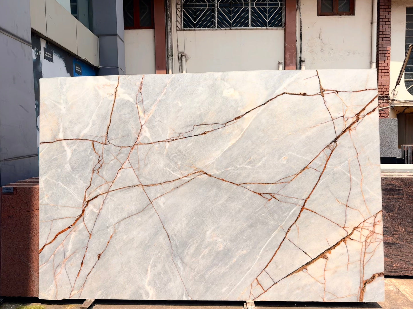 Exotic Picasso (MSB-13) (Lot no. 361)