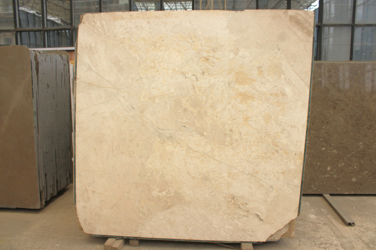 Turkey Dyna (Lot No.231)