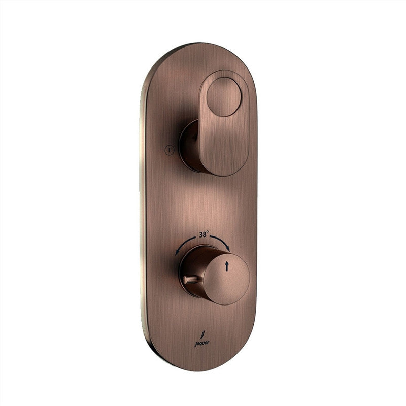 Aquamax Thermostatic Shower Mixer With 2-Way Diverter MAMTA MARBLES