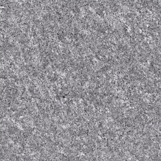 Astonia Grey MAMTA MARBLES