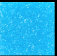 BONITO