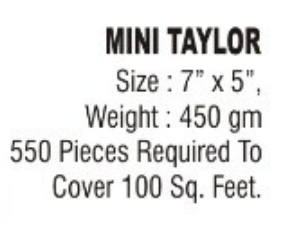 Mini Taylor
