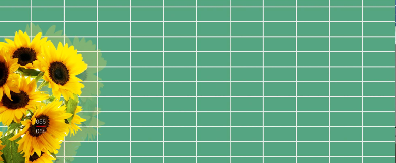 Mint Square
