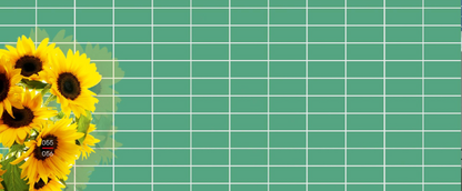 Mint Square