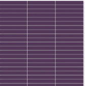Plum Uniform