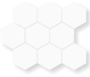 Ivory Network