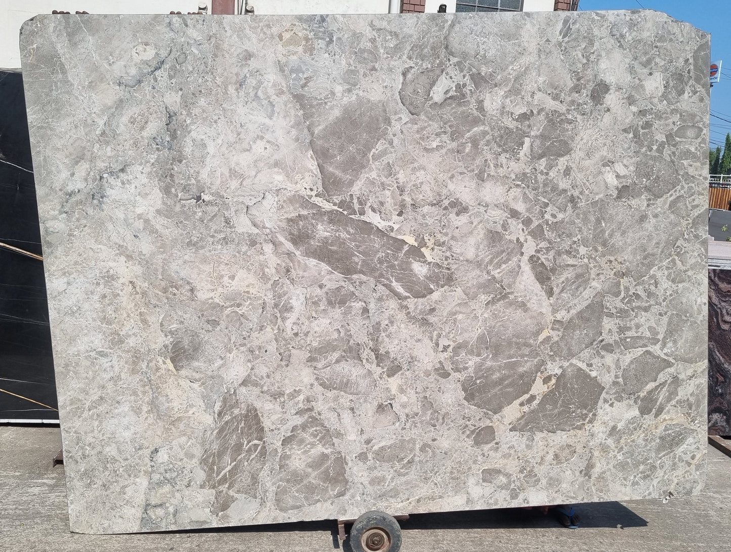 Grey Breccia(Lot No 257)
