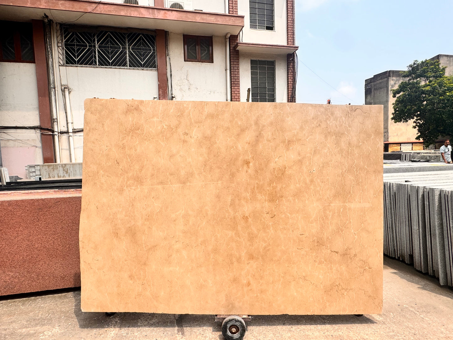 Burberry Beige (Lot No. 348)