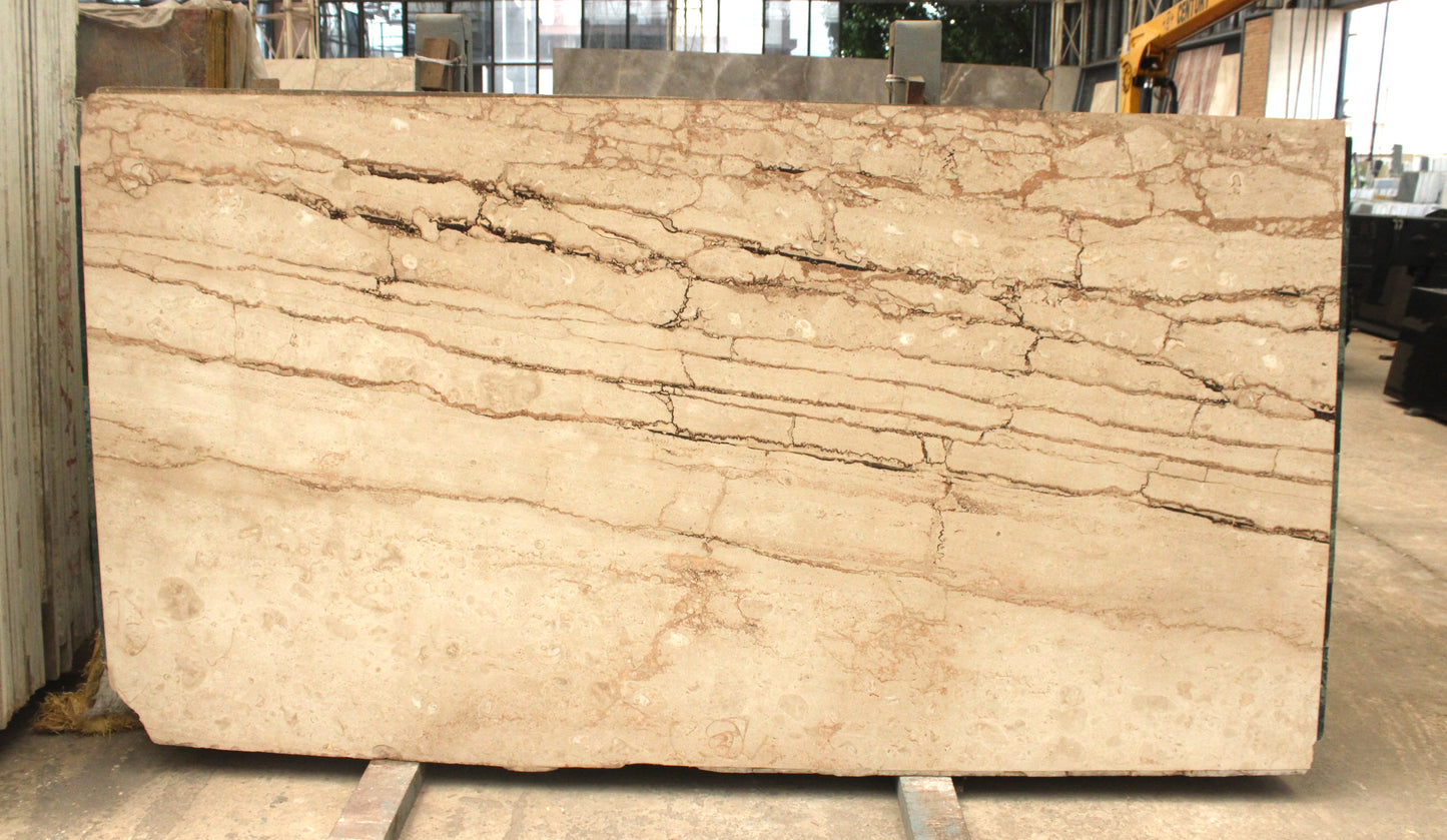 Dyna Classico (Lot no- 208)