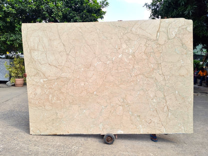 Evo Beige (Lot No. 308)