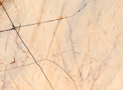 Exotic Giallo Siena(MSB-C1)(Lot no. 363)