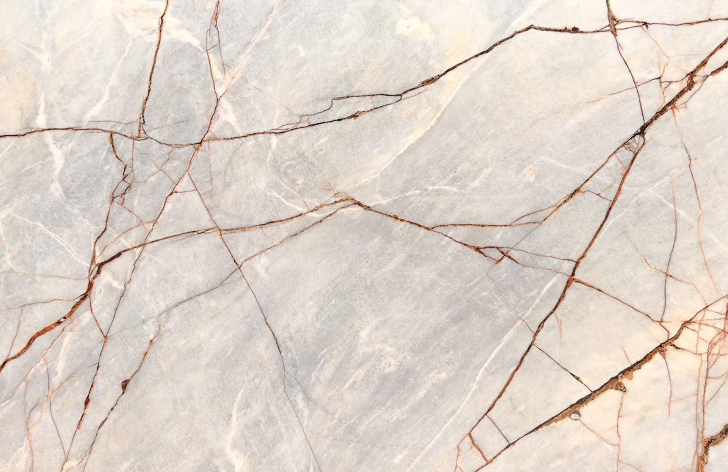 Exotic Picasso (MSB-13) (Lot no. 361)