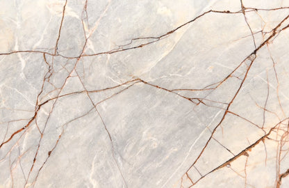 Exotic Picasso (MSB-13) (Lot no. 361)