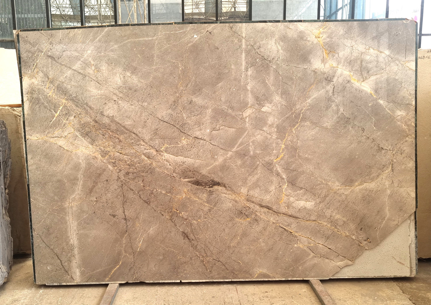 Golden Sonata ( Lot no-320)