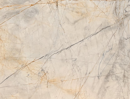 Golden Statuario (Lot No.356)