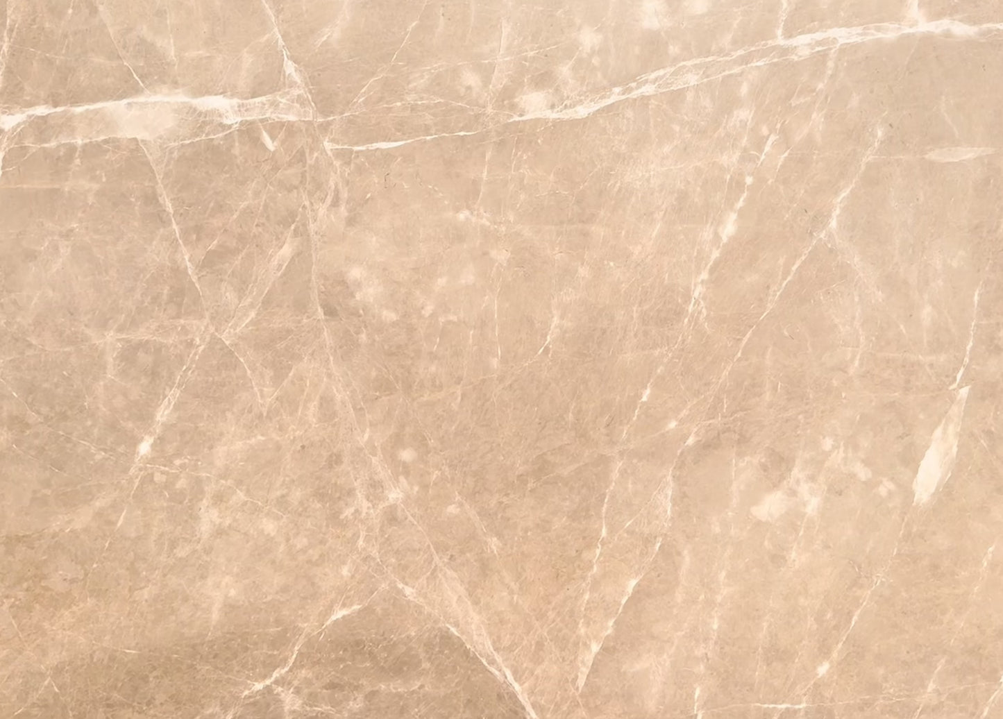 Golden Statuario (MSB-104) (Lot No. 360)