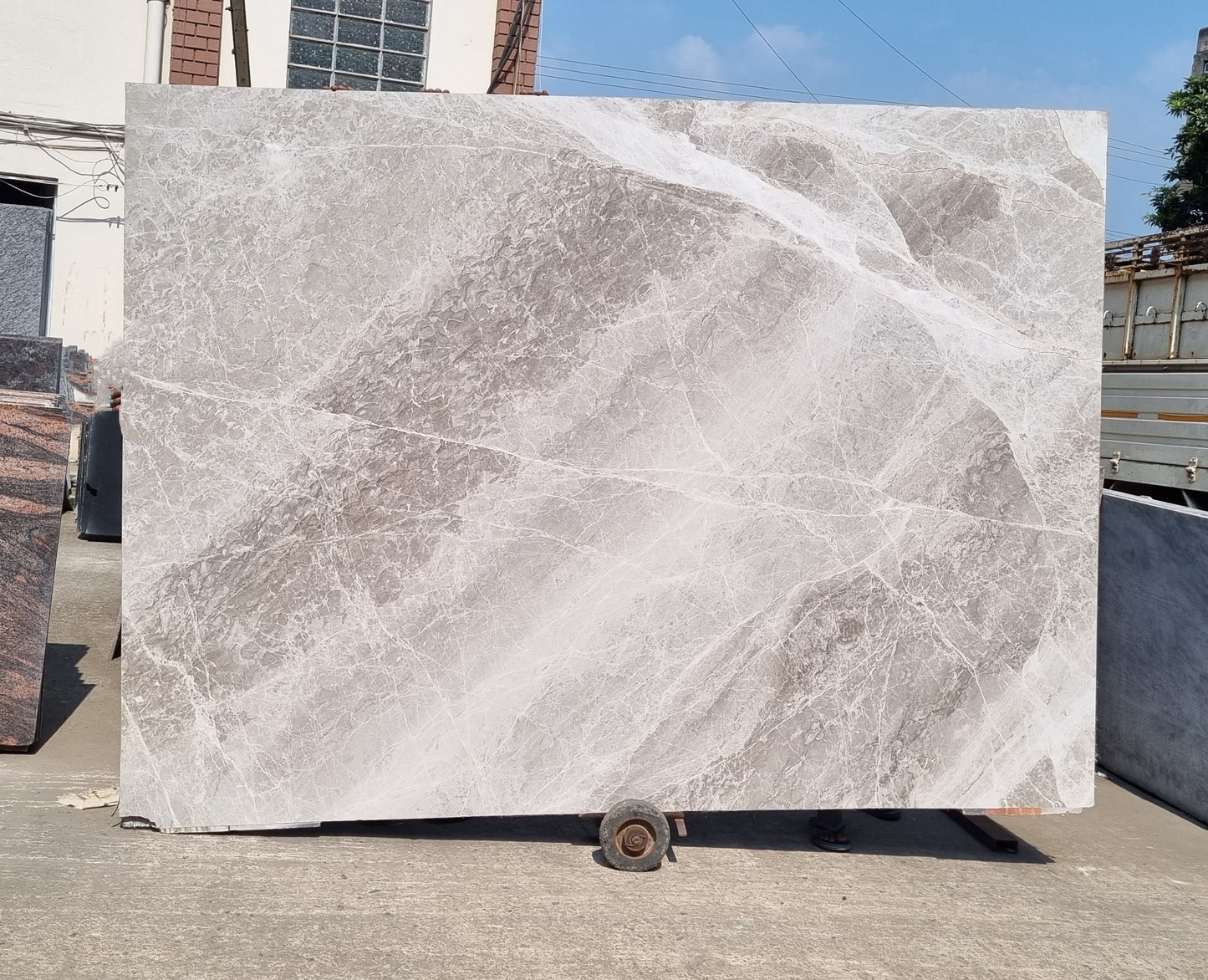 Grey Grigorio (Lot no 337)