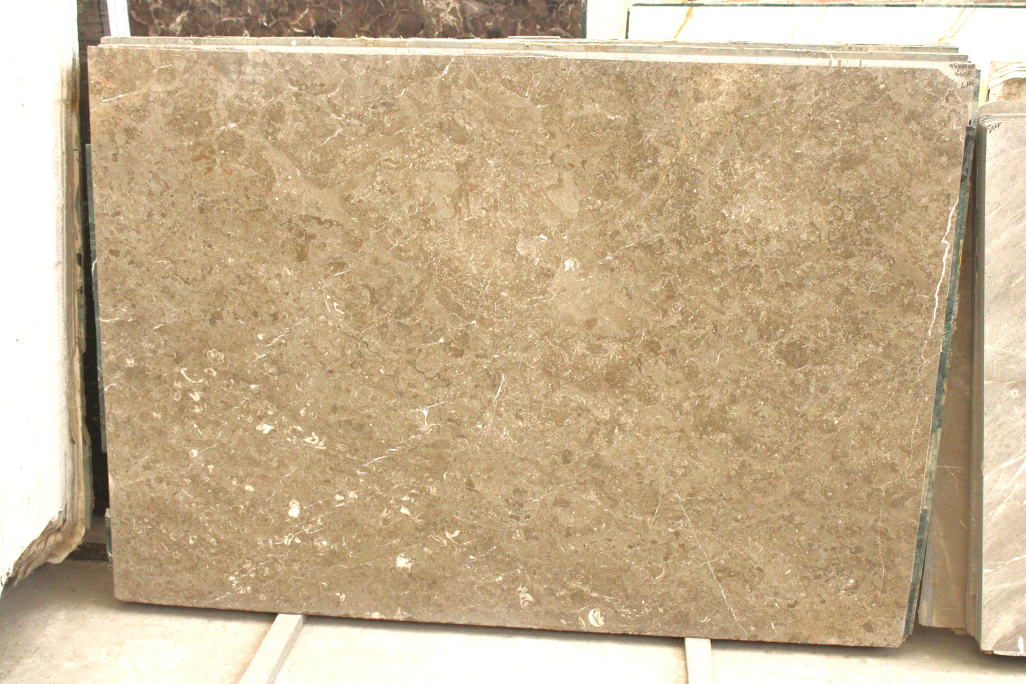 Grey Williams (Lot No.106)