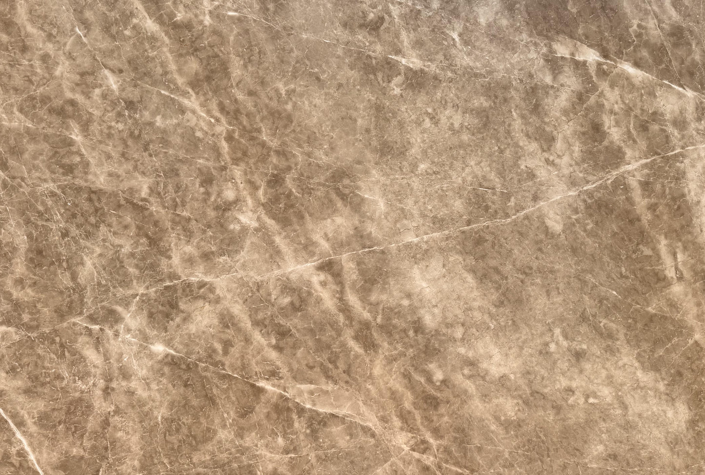 Lady Grey (Lot No. 350)