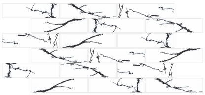 Cracked Vein