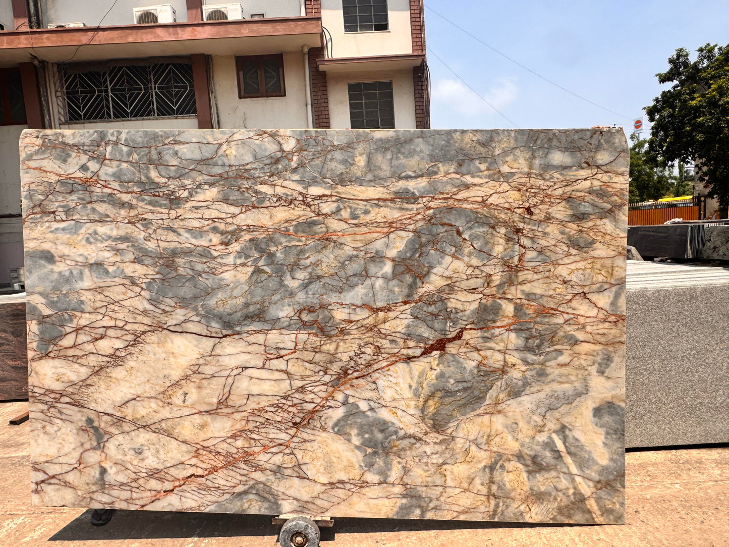 Grigio Carnico (MSB-105) (Lot No.362)