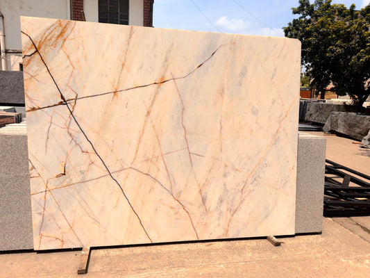 Exotic Giallo Siena(MSB-C1)(Lot no. 363)