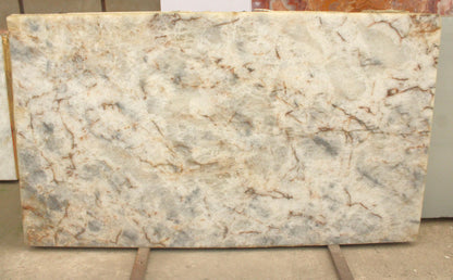 WHITE ONEX