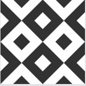 Geometric Echo