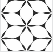 Bloom Symmetry