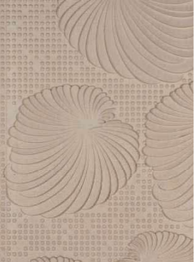 Shell Elegance