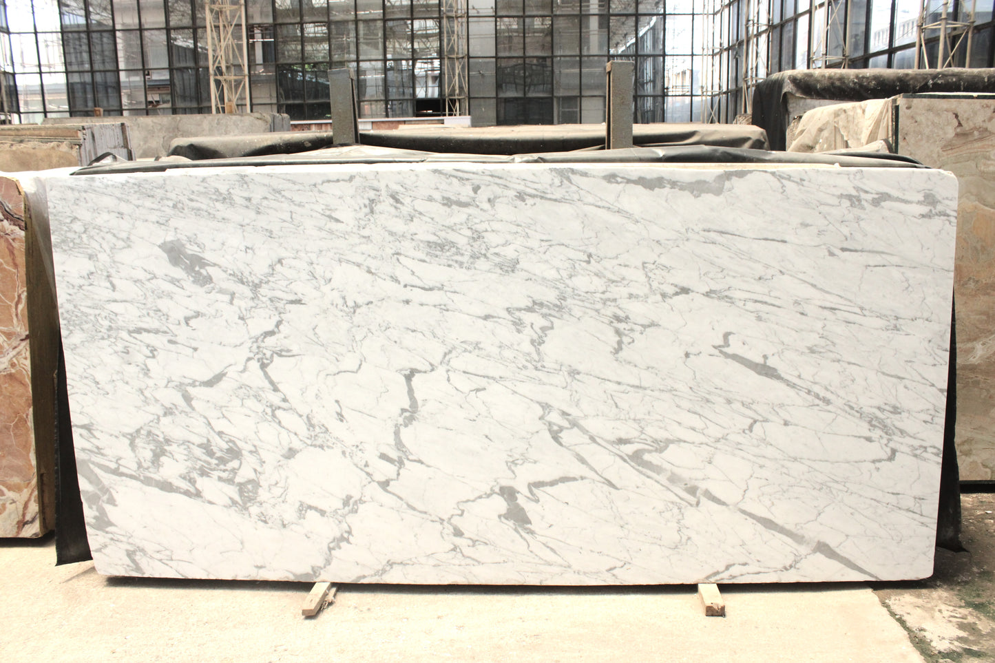 Statuario (Lot No 281)