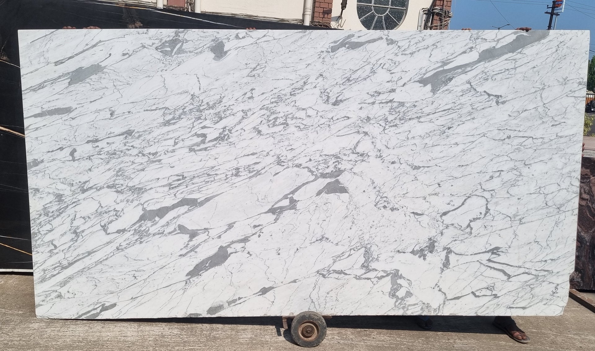 Statuario (Lot No 282)