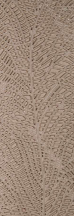 Vein Matrix
