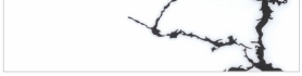 Veined Network