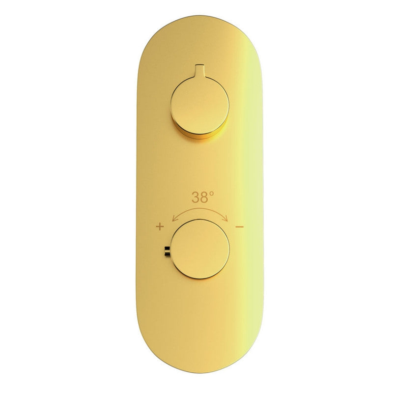 Aquamax Thermostatic Shower Mixer MAMTA MARBLES