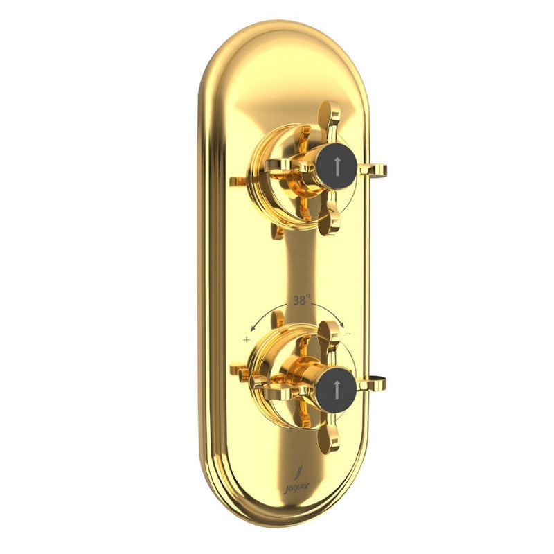 Aquamax Thermostatic Shower Mixer MAMTA MARBLES