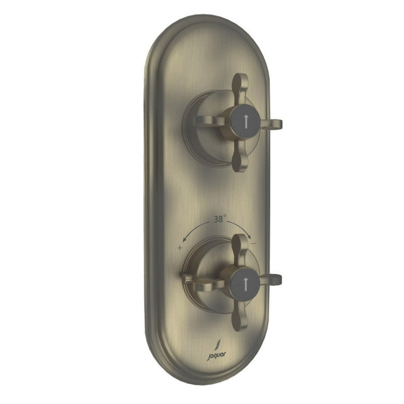 Aquamax Thermostatic Shower Mixer MAMTA MARBLES