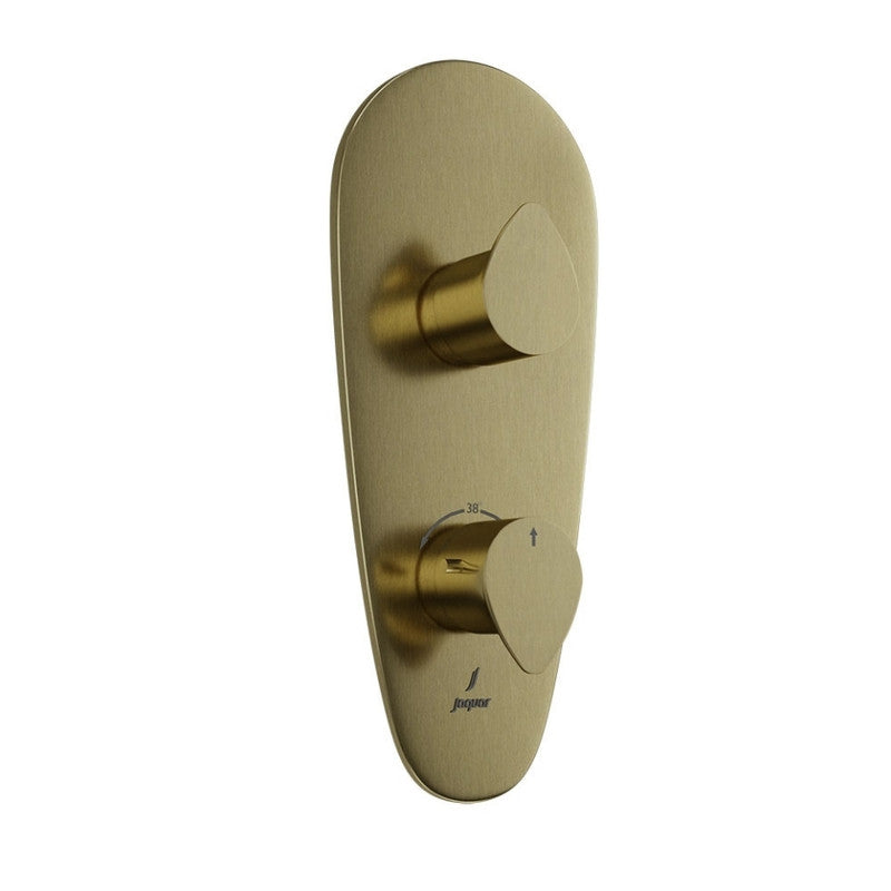 Aquamax Thermostatic Shower Mixer MAMTA MARBLES