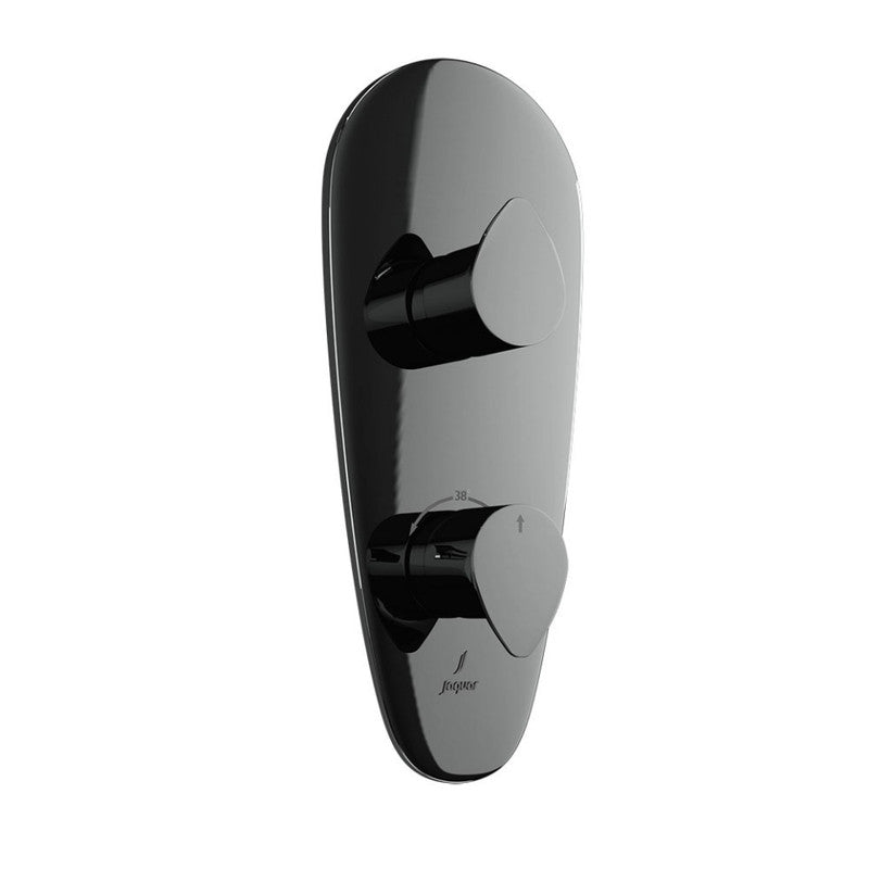 Aquamax Thermostatic Shower Mixer MAMTA MARBLES