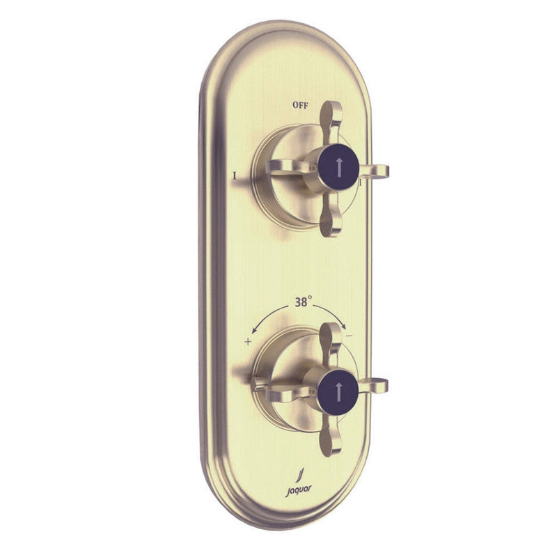 Aquamax Thermostatic Shower Mixer With 2-Way Diverter MAMTA MARBLES