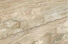 Breccia (Glossy) MAMTA MARBLES