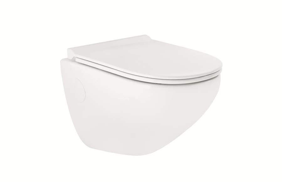 Cardiff Wall Hung WC with Slim S&C MAMTA MARBLES